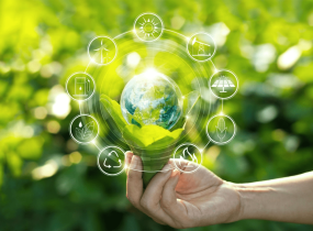 “Xanh” hóa ngành công nghiệp sản xuất giấy